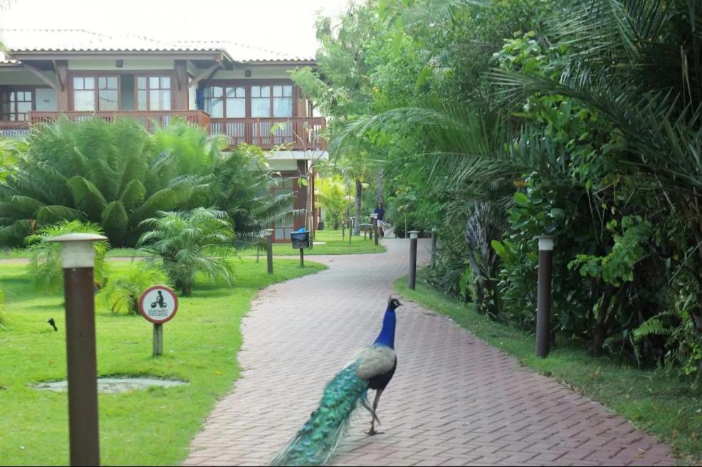 Villa Da Enseada, Praia Do Forte Zewnętrze zdjęcie
